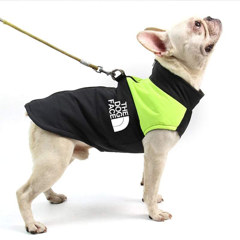 The Dog Face Jacket