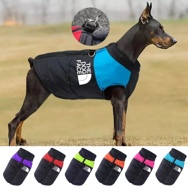 The Dog Face Jacket