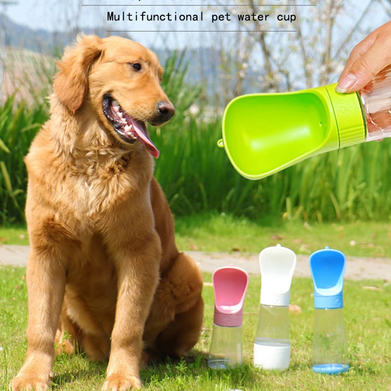 Portable Water Bottle