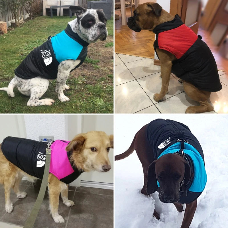 The Dog Face Jacket